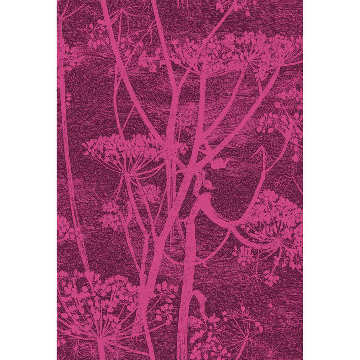 Cow Parsley Magnta Plm by Cole & Son Designer Fabric COLE & SON CONTEMPORARY FABRICS COTTON - 66%;VISCOSE - 31%;POLYESTER - 3% Italy HEAVY Horizontal: 17.33 and Vertical: 25.4 52 - Swanky Fabrics -