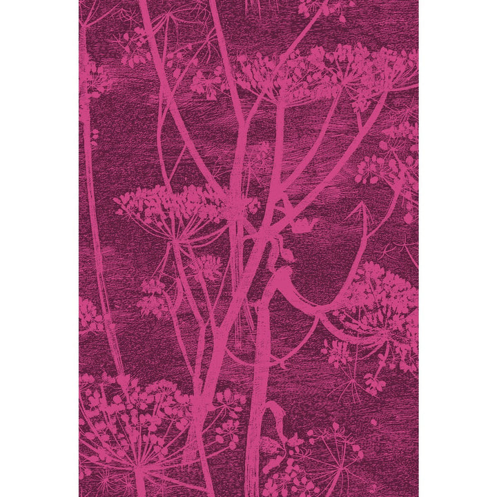 Cow Parsley Magnta Plm by Cole & Son Fabric COLE & SON CONTEMPORARY FABRICS COTTON - 66%;VISCOSE - 31%;POLYESTER - 3% Italy HEAVY Horizontal: 17.33 and Vertical: 25.4 52 - Fabric Carolina -