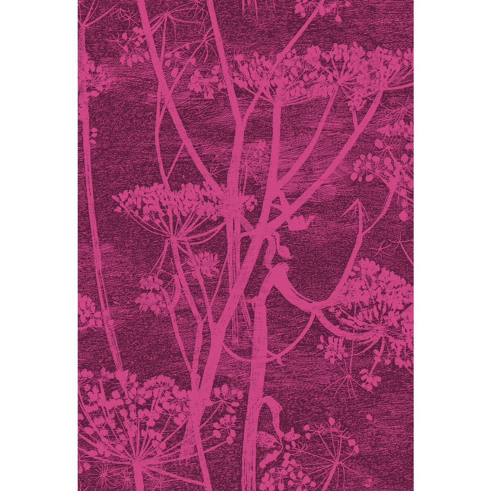 Cow Parsley Magnta Plm by Cole & Son Fabric Cole & Son Fabric Cow Parsley Magnta PlmFabric COLE & SON CONTEMPORARY FABRICS COTTON - 66%;VISCOSE - 31%;POLYESTER - 3% Italy </p><p>Repeat: H: 17.33, V: 25.4 52 - Fabric Carolina -