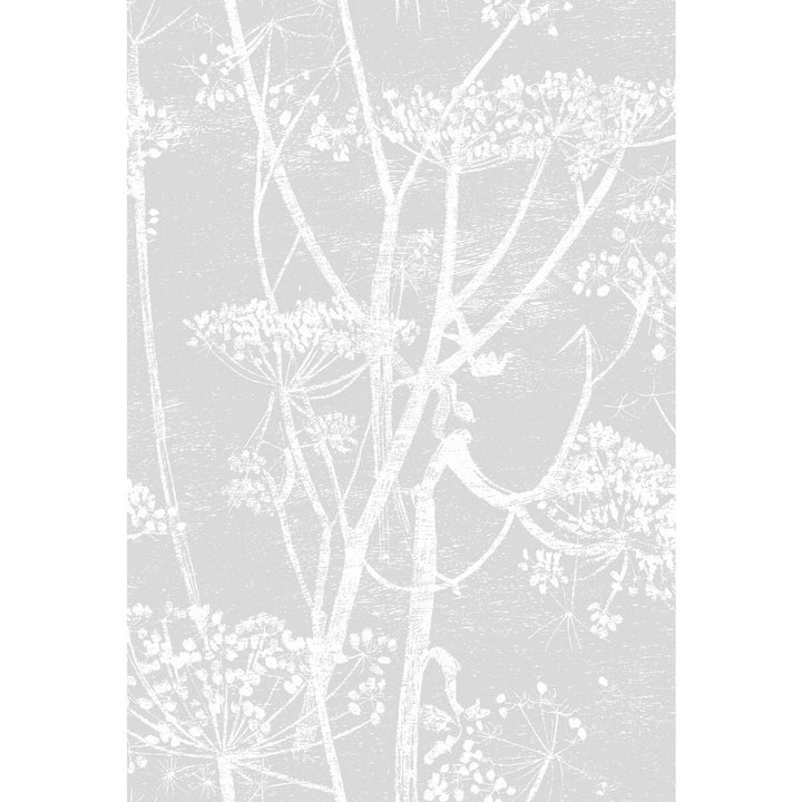Cow Parsley Soft Grey by Cole & Son Fabric Cole & Son Fabric Cow Parsley Soft GreyFabric COLE & SON CONTEMPORARY FABRICS LINEN - 100% Italy </p><p>Repeat: H: 18.5, V: 28 55.5 - Fabric Carolina -