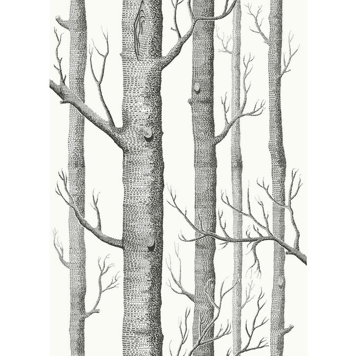 Woods Blk Wht by Cole & Son Designer Fabric COLE & SON CONTEMPORARY FABRICS LINEN - 61%;COTTON - 29%;NYLON - 10% Italy HEAVY Horizontal: 26.75 and Vertical: 37.4 53.5 - Swanky Fabrics -