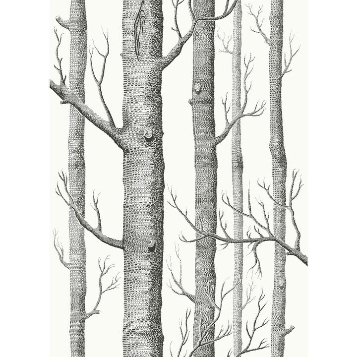 Woods Blk Wht by Cole & Son Fabric COLE & SON CONTEMPORARY FABRICS LINEN - 61%;COTTON - 29%;NYLON - 10% Italy HEAVY Horizontal: 26.75 and Vertical: 37.4 53.5 - Fabric Carolina -