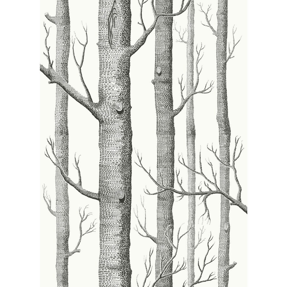 Woods Blk Wht by Cole & Son Fabric COLE & SON CONTEMPORARY FABRICS LINEN - 61%;COTTON - 29%;NYLON - 10% Italy HEAVY Horizontal: 26.75 and Vertical: 37.4 53.5 - Fabric Carolina -