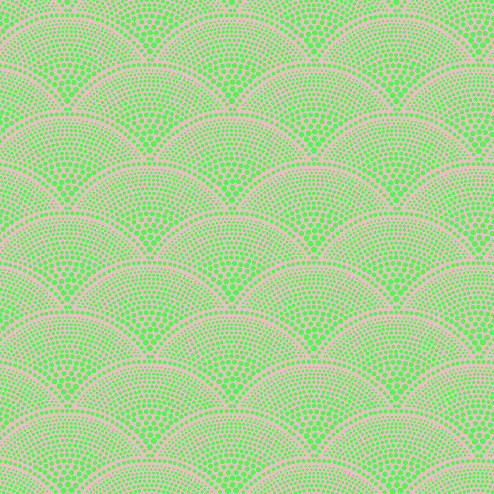 Feather Fan Magnt Char by Cole & Son Fabric COLE & SON CONTEMPORARY FABRICS VISCOSE - 77%;POLYESTER - 23% Italy HEAVY Horizontal: 7 and Vertical: 4 55.7 - Fabric Carolina -