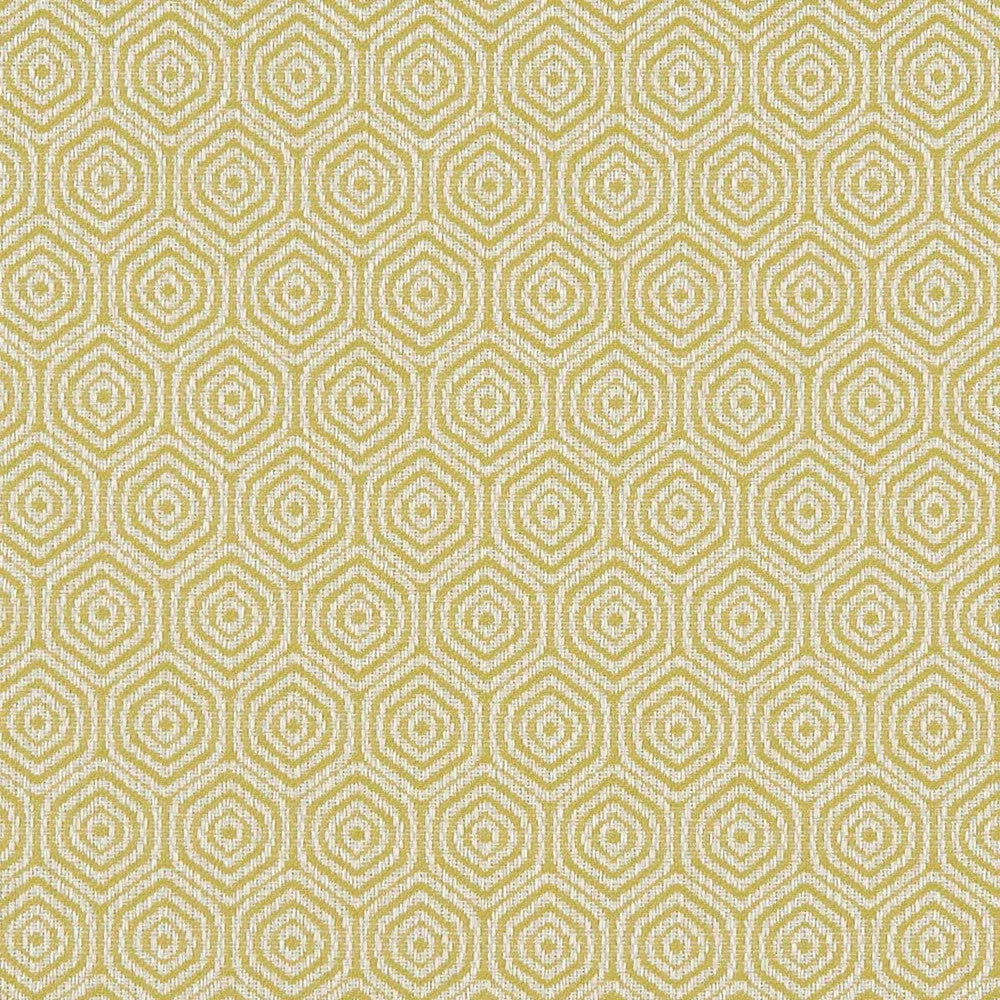 Lunar Citron by Clarke And Clarke Fabric CLARKE & CLARKE EQUINOX COTTON - 62%;POLYESTER - 38% Turkey MEDIUM Horizontal: 1.57 and Vertical: 2.56 54 - Fabric Carolina -