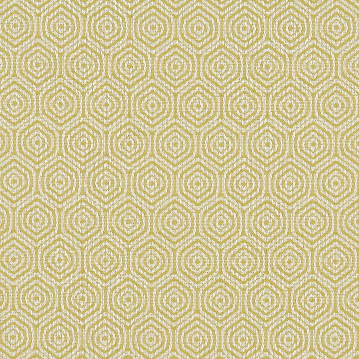 Lunar Citron by Clarke And Clarke Fabric CLARKE & CLARKE EQUINOX COTTON - 62%;POLYESTER - 38% Turkey MEDIUM Horizontal: 1.57 and Vertical: 2.56 54 - Fabric Carolina -