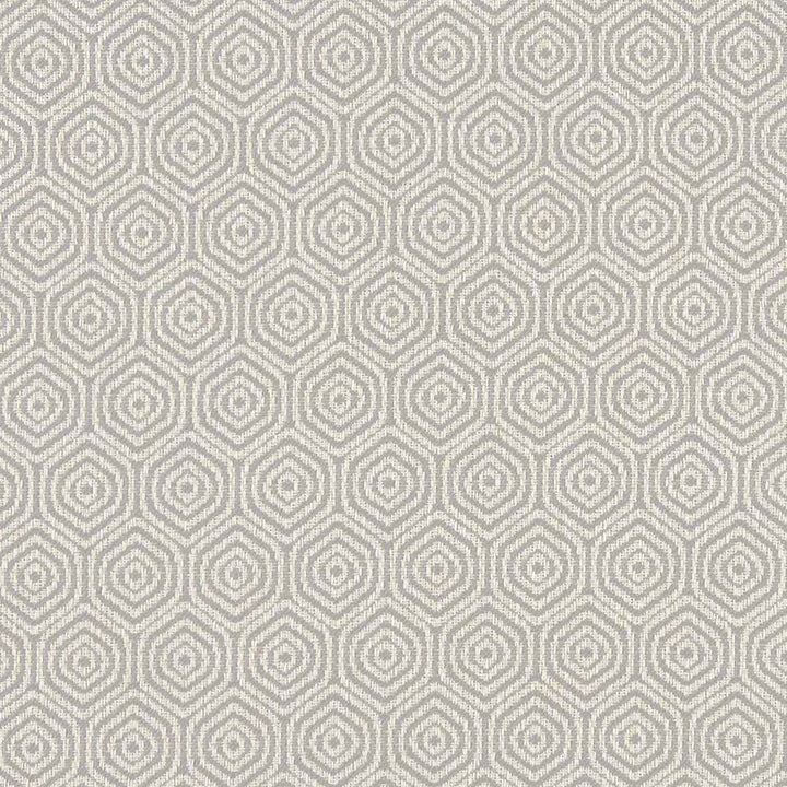 Lunar Dove by Clarke And Clarke Fabric CLARKE & CLARKE EQUINOX COTTON - 62%;POLYESTER - 38% Turkey MEDIUM Horizontal: 1.57 and Vertical: 2.56 54 - Fabric Carolina -