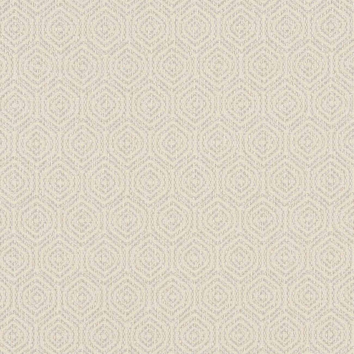 Lunar Natural by Clarke And Clarke Fabric CLARKE & CLARKE EQUINOX COTTON - 62%;POLYESTER - 38% Turkey MEDIUM Horizontal: 1.57 and Vertical: 2.56 54 - Fabric Carolina -