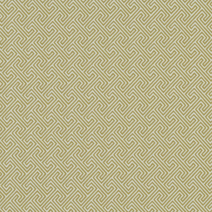 Mercury Citron by Clarke And Clarke Fabric CLARKE & CLARKE EQUINOX COTTON - 61%;POLYESTER - 39% Turkey HEAVY Horizontal: 1.2 and Vertical: 1.2 54 - Fabric Carolina -