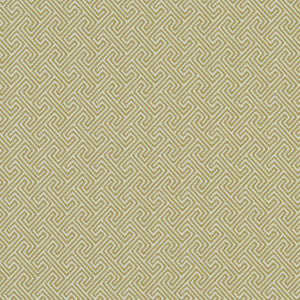 Mercury Citron by Clarke And Clarke Fabric