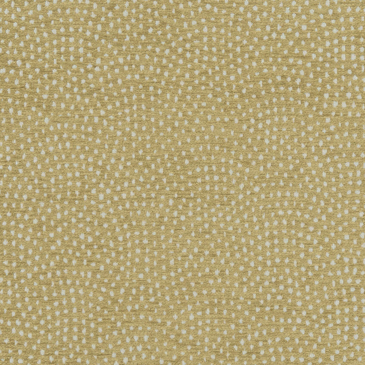 Nebula Antique by Clarke And Clarke Fabric CLARKE & CLARKE EQUINOX POLYESTER - 100% Turkey HEAVY Horizontal: 10 and Vertical: 9.125 54 - Fabric Carolina -