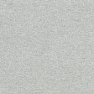 Nebula Dove by Clarke And Clarke Fabric