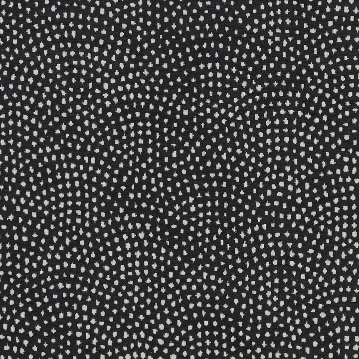 Nebula Noir by Clarke And Clarke Fabric Clarke And Clarke Fabric Nebula NoirFabric CLARKE & CLARKE EQUINOX POLYESTER - 100% Turkey </p><p>Repeat: H: 10, V: 9.125 54 - Fabric Carolina -