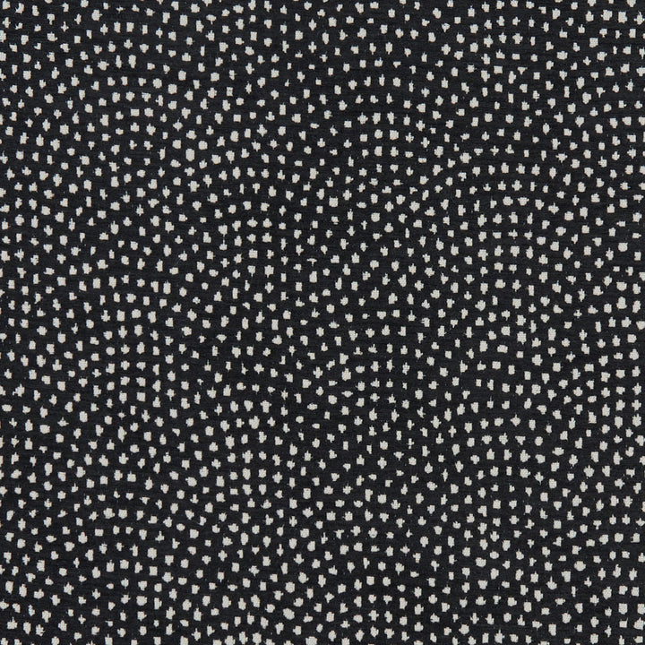 F1132 10 Nebula Noir by Clarke and Clarke Fabric CLARKE & CLARKE POLYESTER - 100% Turkey HEAVY Horizontal: 10.04 and Vertical: 9.06 54  - Fabric Carolina -