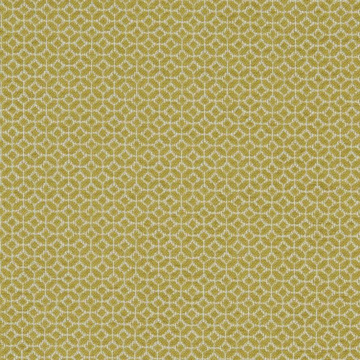 Orbit Chartreuse by Clarke And Clarke Fabric CLARKE & CLARKE EQUINOX COTTON - 60%;POLYESTER - 40% Turkey HEAVY Horizontal: 0.75 and Vertical: 0.75 54 - Fabric Carolina -