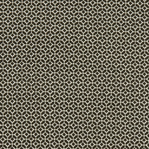 Orbit Noir by Clarke And Clarke Fabric