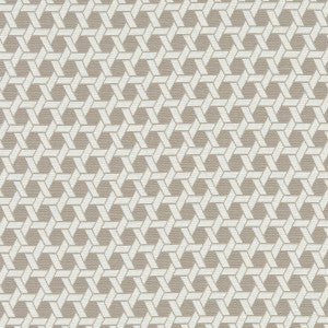 Saturn Mocha by Clarke And Clarke Fabric