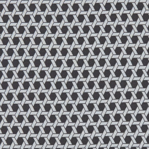Saturn Noir by Clarke And Clarke Fabric