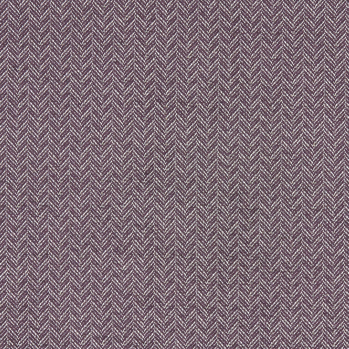 Trinity Damson by Clarke And Clarke Fabric CLARKE & CLARKE EQUINOX COTTON - 62%;POLYESTER - 38% Turkey HEAVY Horizontal: 0.75 and Vertical: 0.47 54 - Fabric Carolina -