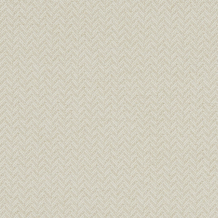 Trinity Ivory by Clarke And Clarke Designer Fabric CLARKE & CLARKE EQUINOX COTTON - 62%;POLYESTER - 38% Turkey HEAVY Horizontal: 0.75 and Vertical: 0.47 54 - Swanky Fabrics -