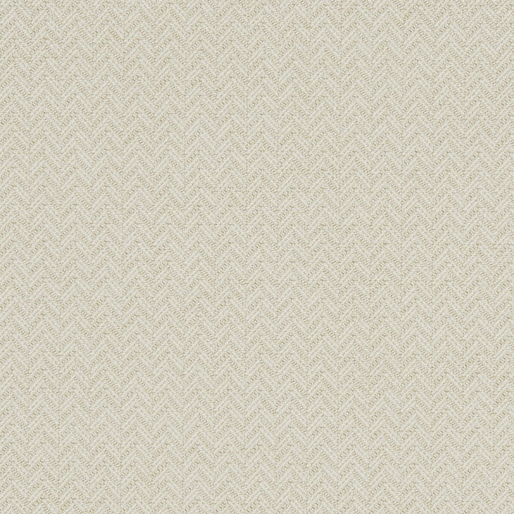 Trinity Ivory by Clarke And Clarke Fabric CLARKE & CLARKE EQUINOX COTTON - 62%;POLYESTER - 38% Turkey HEAVY Horizontal: 0.75 and Vertical: 0.47 54 - Fabric Carolina -