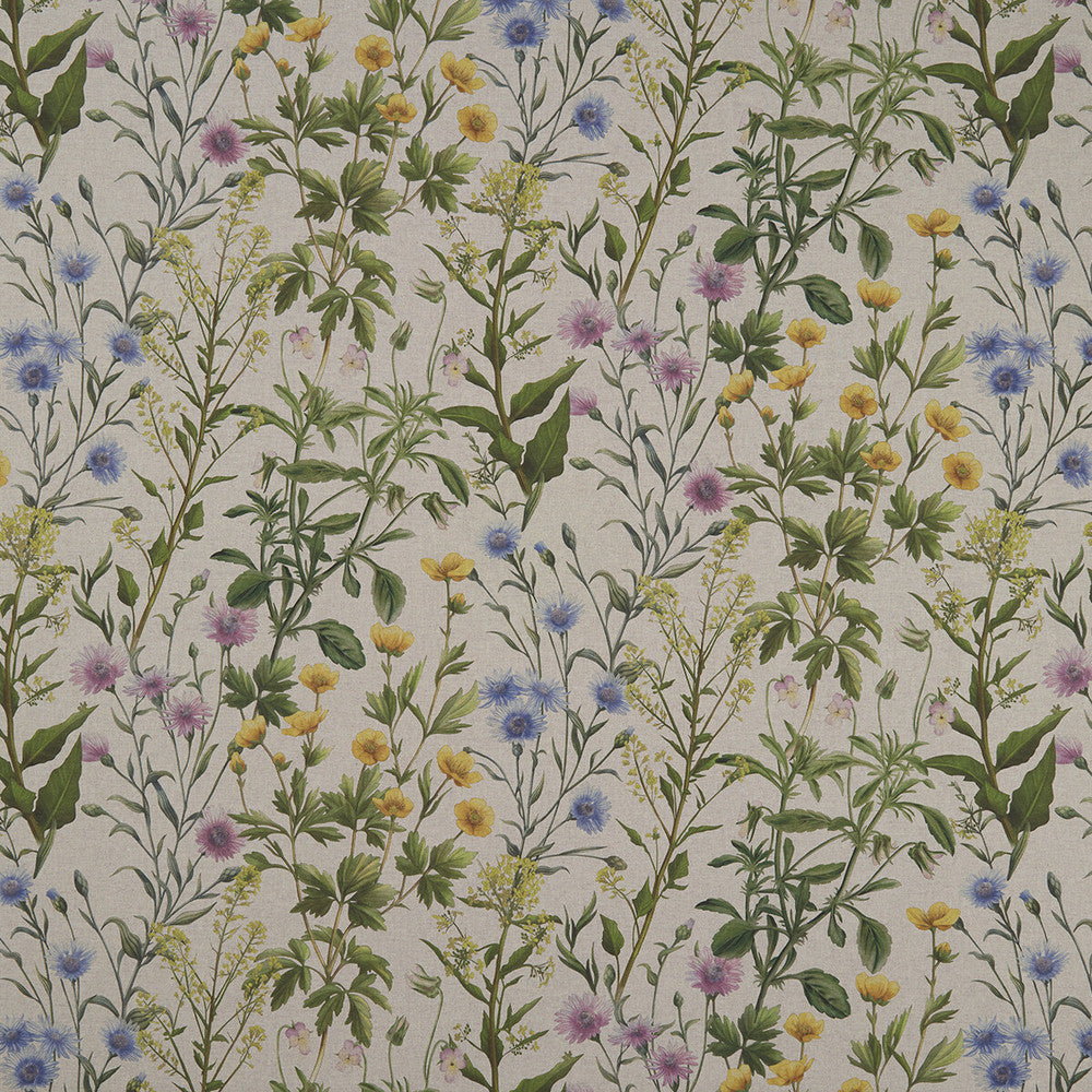 Buttercup Linen by Clarke And Clarke Designer Fabric CLARKE & CLARKE COUNTRY GARDEN COTTON - 80%;POLYESTER - 20% Spain MEDIUM Horizontal: 35.43 and Vertical: 25.39 54 - Swanky Fabrics -