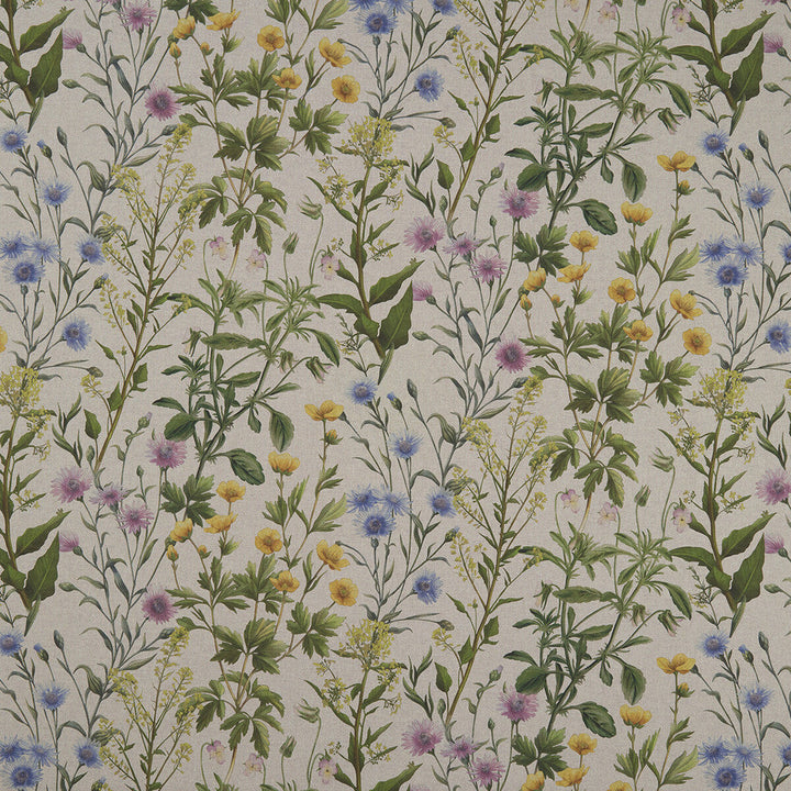 Buttercup Linen by Clarke And Clarke Designer Fabric CLARKE & CLARKE COUNTRY GARDEN COTTON - 80%;POLYESTER - 20% Spain MEDIUM Horizontal: 35.43 and Vertical: 25.39 54 - Swanky Fabrics -