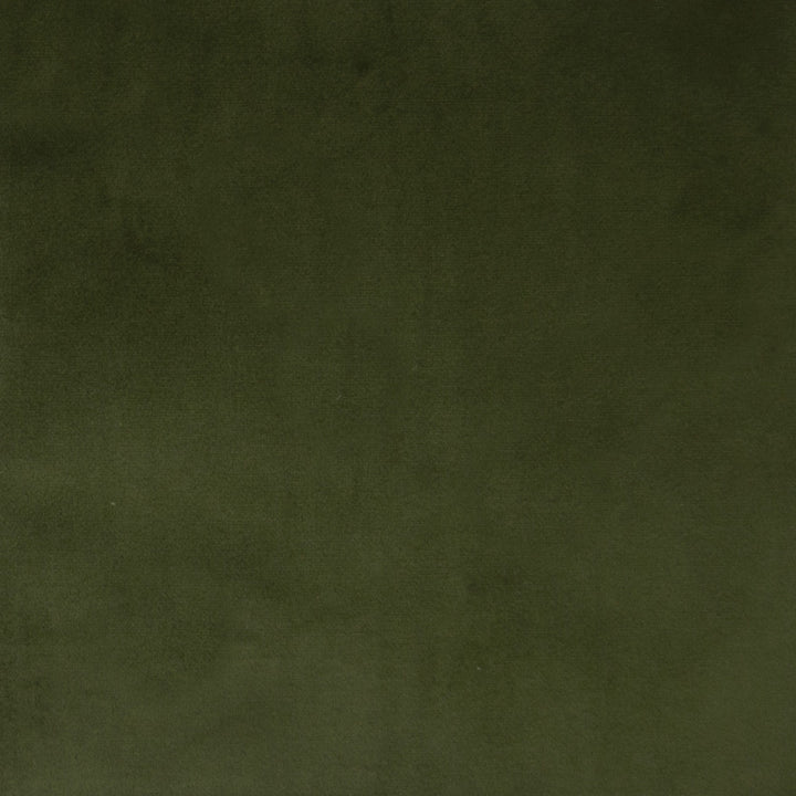F1164 Basil by Greenhouse Fabric 100% Polyester China 100,000 double rubs </p><p>Repeat: None 57" - Fabric Carolina -