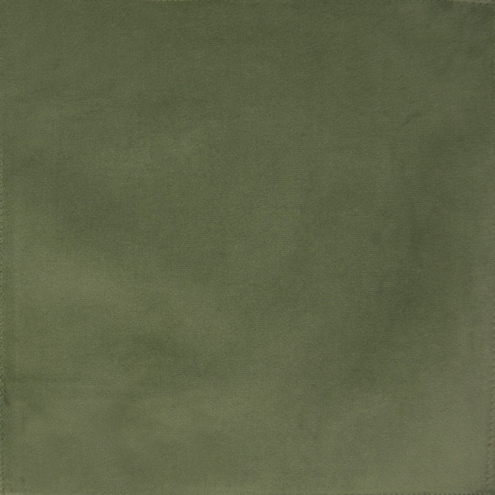 F1165 Lima Bean by Greenhouse Fabric 100% Polyester China 100,000 double rubs </p><p>Repeat: None 57" - Fabric Carolina -