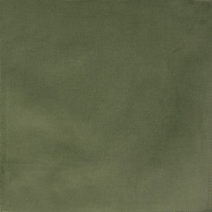 F1165 Lima Bean by Greenhouse Fabric