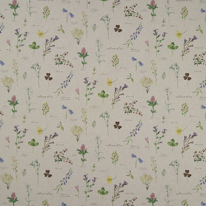 Nerium Linen by Clarke And Clarke Fabric CLARKE & CLARKE COUNTRY GARDEN COTTON - 80%;POLYESTER - 20% Spain MEDIUM Horizontal: 26.97 and Vertical: 18.62 54 - Fabric Carolina -