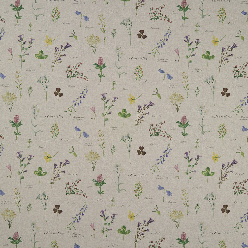 Nerium Linen by Clarke And Clarke Fabric CLARKE & CLARKE COUNTRY GARDEN COTTON - 80%;POLYESTER - 20% Spain MEDIUM Horizontal: 26.97 and Vertical: 18.62 54 - Fabric Carolina -