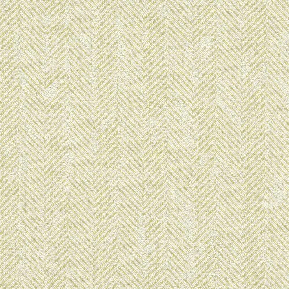 Ashmore Citron by Clarke And Clarke Fabric CLARKE & CLARKE HERITAGE COTTON - 45%;VISCOSE - 44%;LINEN - 11% Turkey HEAVY Horizontal: 0 and Vertical: 0 54 - Fabric Carolina -