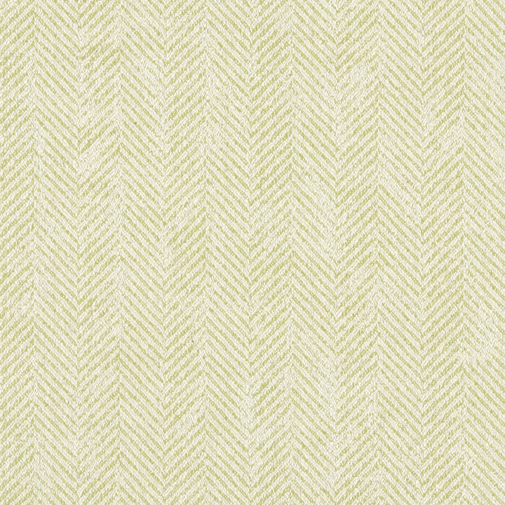 Ashmore Citron by Clarke And Clarke Fabric CLARKE & CLARKE HERITAGE COTTON - 45%;VISCOSE - 44%;LINEN - 11% Turkey HEAVY Horizontal: 0 and Vertical: 0 54 - Fabric Carolina -