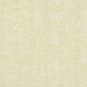 Ashmore Citron by Clarke And Clarke Fabric