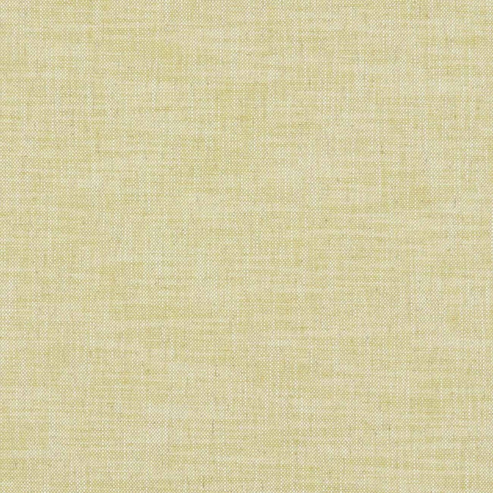 Milton Citron by Clarke And Clarke Fabric CLARKE & CLARKE HERITAGE COTTON - 42%;COTTON - 42%;LINEN - 11%;POLYESTER - 5% Turkey HEAVY Horizontal: 0 and Vertical: 0 54 - Fabric Carolina -