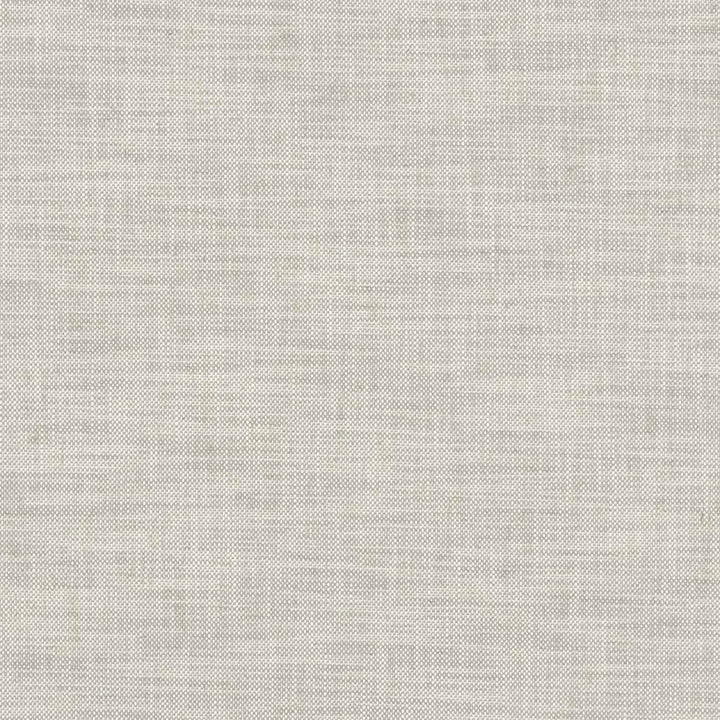 Milton Dove by Clarke And Clarke Fabric CLARKE & CLARKE HERITAGE COTTON - 42%;COTTON - 42%;LINEN - 11%;POLYESTER - 5% Turkey HEAVY Horizontal: 0 and Vertical: 0 54 - Fabric Carolina -
