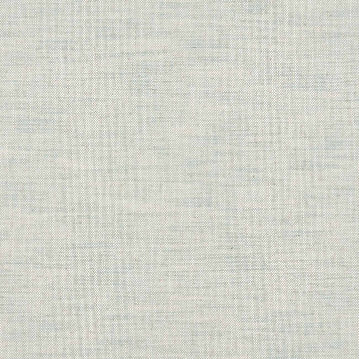 Milton Duckegg by Clarke And Clarke Fabric CLARKE & CLARKE HERITAGE COTTON - 42%;COTTON - 42%;LINEN - 11%;POLYESTER - 5% Turkey HEAVY Horizontal: 0 and Vertical: 0 54 - Fabric Carolina -