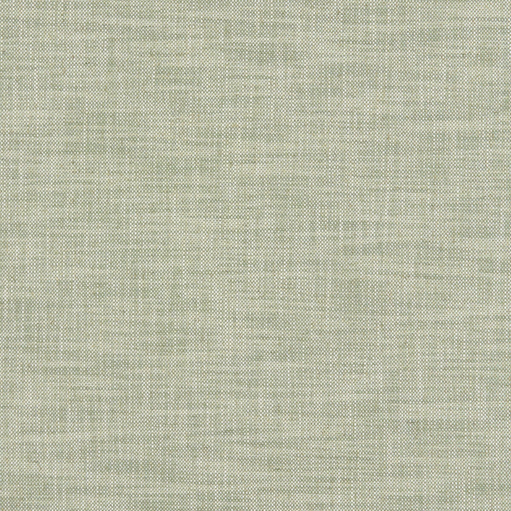 Milton Sage by Clarke And Clarke Designer Fabric CLARKE & CLARKE HERITAGE COTTON - 42%;COTTON - 42%;LINEN - 11%;POLYESTER - 5% Turkey HEAVY Horizontal: 0 and Vertical: 0 54 - Swanky Fabrics -