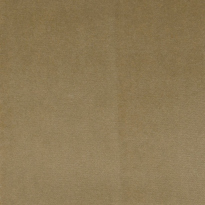 F1182 Burlap by Greenhouse Fabric 100% Polyester Turkey 51,000 double rubs </p><p>Repeat: None 55" - Fabric Carolina -