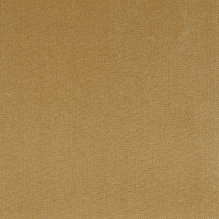 F1187 Gold Dust by Greenhouse Fabric 100% Polyester Turkey 51,000 double rubs </p><p>Repeat: None 55" - Fabric Carolina -