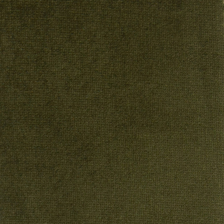 F1188 Olivine by Greenhouse Fabric 100% Polyester Turkey 51,000 double rubs </p><p>Repeat: None 55" - Fabric Carolina -