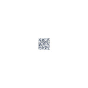Trawler Navy by Clarke And Clarke Fabric