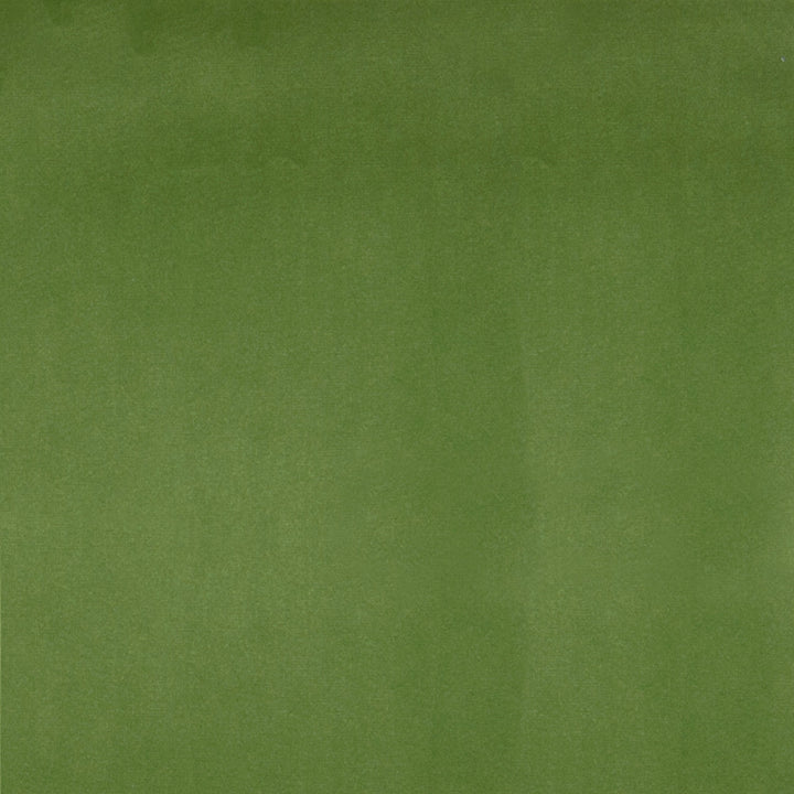 F1221 Parrot by Greenhouse Fabric 100% Polyester China 51,000 double rubs </p><p>Repeat: None 54" - Fabric Carolina -