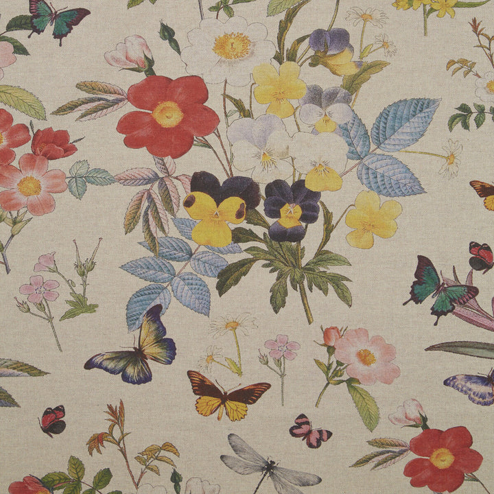 Ava Culla Linen by Clarke And Clarke Fabric CLARKE & CLARKE OASIS WP & FABRIC COTTON - 80%;POLYESTER - 20% Spain MEDIUM Horizontal: - and Vertical: - 54.375 - Fabric Carolina -