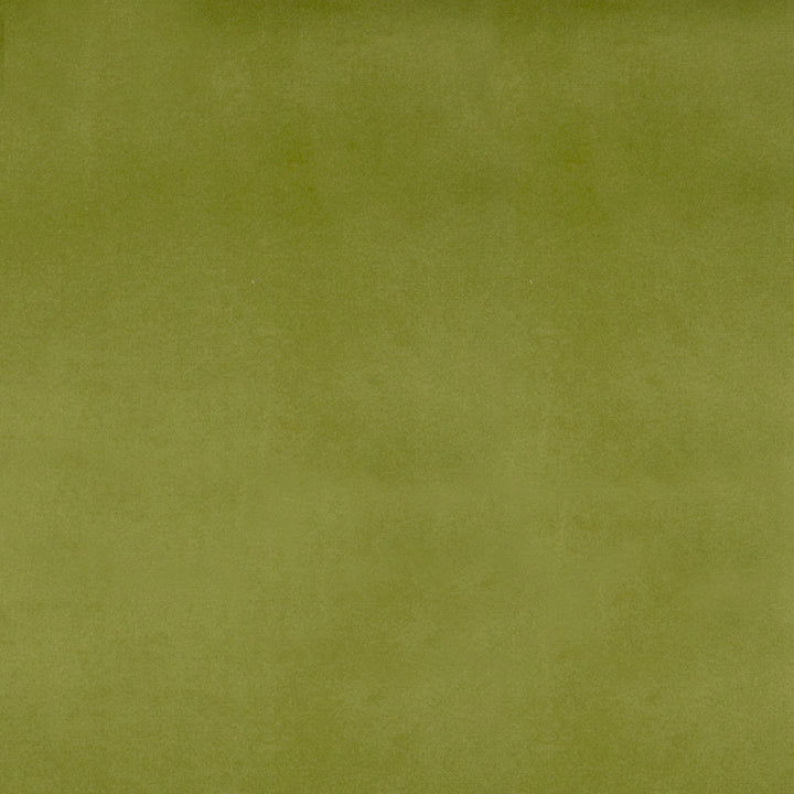 F1222 Citron by Greenhouse Fabric 100% Polyester China 51,000 double rubs </p><p>Repeat: None 54" - Fabric Carolina -