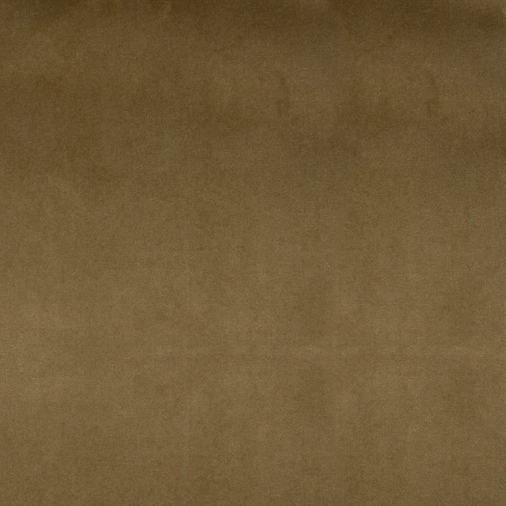 F1224 Brass by Greenhouse Fabric 100% Polyester China 51,000 double rubs </p><p>Repeat: None 54" - Fabric Carolina -