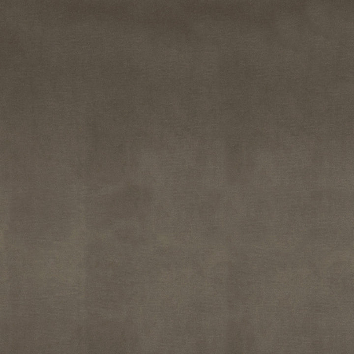 F1225 Putty by Greenhouse Fabric 100% Polyester China 51,000 double rubs </p><p>Repeat: None 54" - Fabric Carolina -