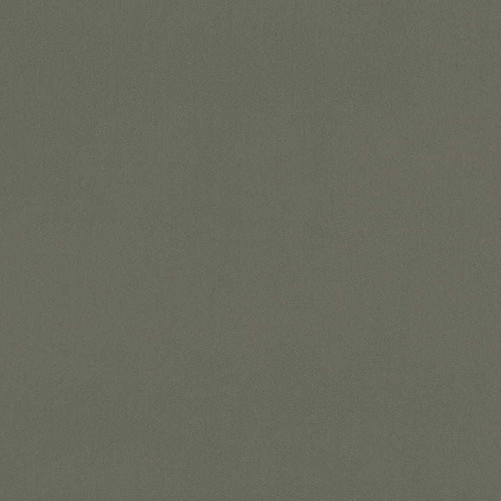 Renzo Charcoal by Clarke And Clarke Designer Fabric CLARKE & CLARKE RENZO POLYESTER - 100% China HEAVY Horizontal: 0 and Vertical: 0 55 - Swanky Fabrics -