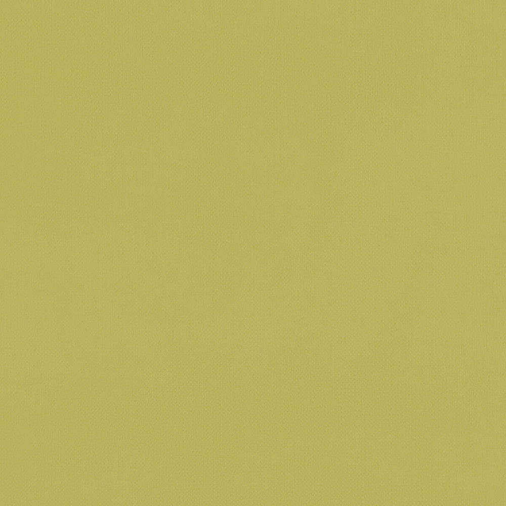 Renzo Citrus by Clarke And Clarke Fabric CLARKE & CLARKE RENZO POLYESTER - 100% China HEAVY Horizontal: 0 and Vertical: 0 55 - Fabric Carolina -